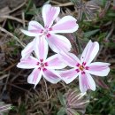 현주네농장 이미지