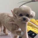 러브몽먼트 이미지