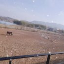 그랑프리 승마파크 이미지