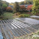 새마을 태양광발전소 이미지