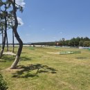 고래불 비치파크골프장 이미지