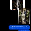 Wedding - 보테가마지오 본식스냅 후기 (아드리아나 스냅)
