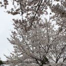 팔음로 | 경북[팔음산 자기발전소] 누적 합격자762명의 합격명당 관리 기숙 아카데미에서 지내본 후기