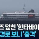 3113 신효정 미디어 리터러시 비평 (1학기 4주차) 이미지