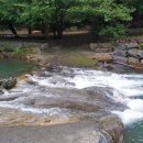 늘소나무산장 이미지