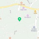 금덕무환자나무및팽나무군락 이미지