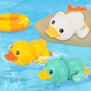 버드시아 이미지