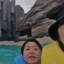 제주 나르샤펜션 이미지