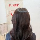 예랑아트 | 결혼준비 13. 홍대 미용실은 유아트헤어로 정착! 웨딩 촬영 전 전체염색 후기 with 예랑이 다운펌