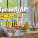 강동로-17 이미지