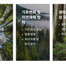 가든프로젝트 이미지