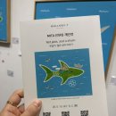 [부산] 갤러리티 전시 추천, 무섭지 않은 상어이야기 미타 작가展