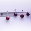 행복사랑국제결혼 이미지