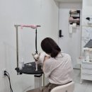 몽스살롱