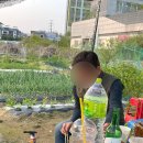 뚜비농장 이미지