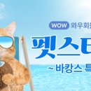 펫스티벌 이미지