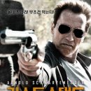 피토파고 이미지