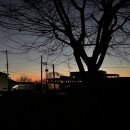 시골아줌마스테이 이미지