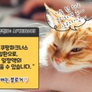 (주)두손푸드 칠보지점