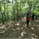 내곡동435 이미지