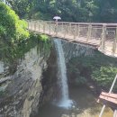서울 푸른수목원+성남시 신구대학교식물원 탐방 &amp; 광명시 도덕산출렁다리+인공폭포를 다녀 오다. 이미지