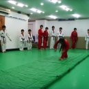 XPL 태권예술단 이미지