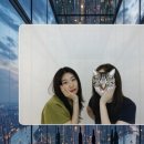(주)맑은인쇄 | 63빌딩 전망대 다녀 온 이야기