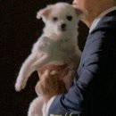 문장로-6 이미지