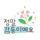 자양보오토캠핑장 이미지