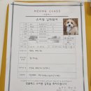 라니멍 이미지