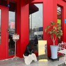 루디아의 테라스 이미지