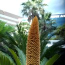 호텔메세지 이미지