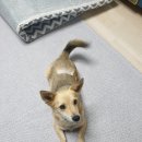 오라켄넬 이미지