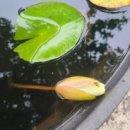 풍기카센타 이미지