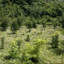 원산농장 이미지