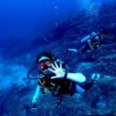 라차비치 이미지