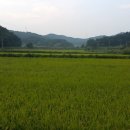 동성산성 이미지