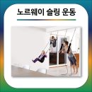 피지오테크 이미지