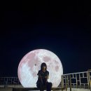 탕정그집쭈꾸미 아산직영점 이미지