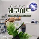 아트샵 | 대구 파충류샵 게코아트 방문 후기