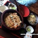아고라신사