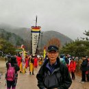 한형화 Daum카페
