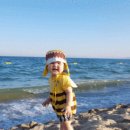 배스킨라빈스 경북울진 이미지