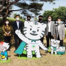 두두 태양광발전소 이미지