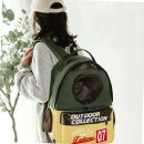 반려켄넬 이미지