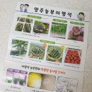 농부의꿈 이미지