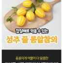 삼시세끼연구소 이미지
