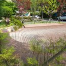 광주동산초등학교 이미지