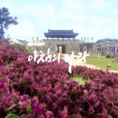 라온달미 이미지