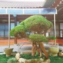 전통한옥 이미지